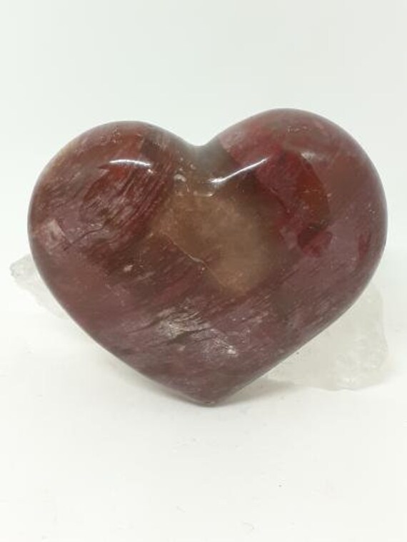 Cœur en Bois Fossile de Qualité Extra - 170Gr Lithothérapie Energies Positives