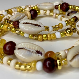 18-25mm Natural Cowrie Shell Beads, Glossy Brown, Spiral Shell