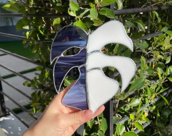 Vidrieras de hoja de dos сolor monstera