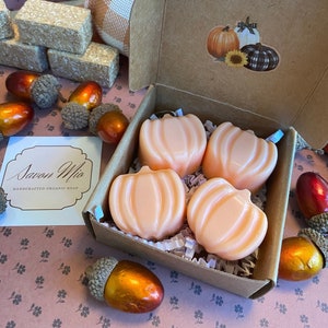 May include: Four small pumpkin-shaped soaps in a brown box with a white and brown patterned paper filler. The box has a label that says "Savon Mio Handcrafted Organic Soap".