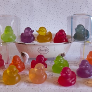 May include: A collection of colorful rubber duck bath toys in clear plastic packaging. The ducks are in various colors, including yellow, orange, red, green, purple, and blue. The ducks are arranged in a bathtub with a white porcelain tub.