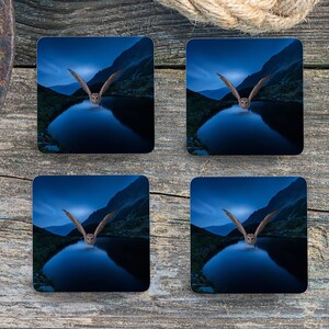 Sublimation Square Coasters - Owl In The Valley - Set of 4 Coaster Design - PNG Download
