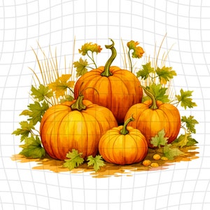 Pumpkin Patch- Watercolor Clipart - PNG Digital Clipart - Scrapbooking - Transparent Background