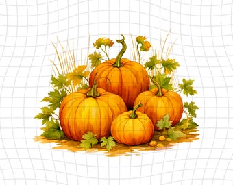 Pumpkin Patch- Watercolor Clipart - PNG Digital Clipart - Scrapbooking - Transparent Background