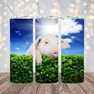 20oz Sublimation - Peeking Pig - Straight Tumbler Wrap - PNG Design- 20oz Skinny Tumbler Wrap Design