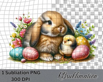 Osterhase und Küken - Frühling Clipart - PNG Digital Clipart - Scrapbooking - Transparenter Hintergrund