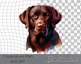 Chocolate Lab- Watercolor Clipart - PNG Digital Clipart - Scrapbooking - Transparent Background