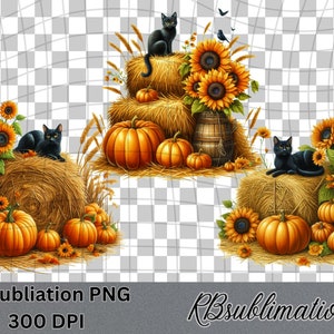 Autumn Black Cat- Watercolor Clipart - PNG Digital Clipart - Scrapbooking - Transparent Background