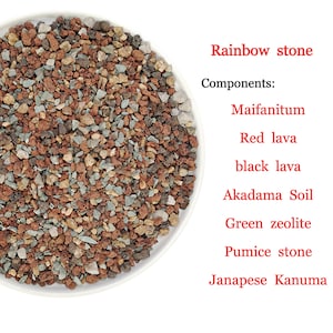 Succulent Soil Premium Mix / Rainbow Stone - Perfect Mineral Substrates for Healthy & Compact Succulents and Cacti “彩虹石/颗粒配土”