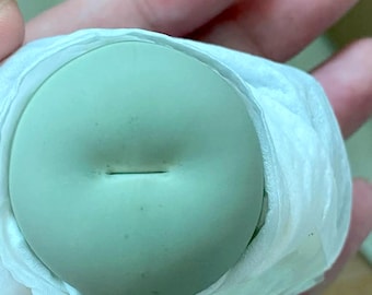 Live Plant - C. cacul us