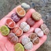 see more listings in the Lithops section