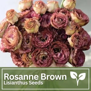 Lisianthus Seeds - Rosanne Brown