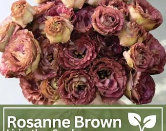 Lisianthus Seeds - Rosanne Brown