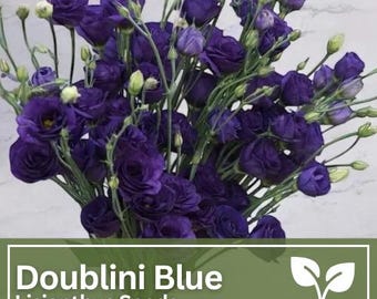 Lisianthus Doublini Blue Flower Seeds