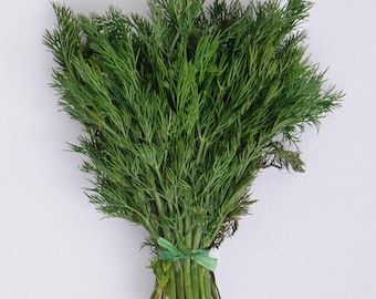 Blumenstrauß Dill-Kräuter-Samen