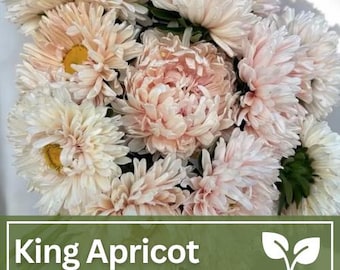 King Size Apricot China Aster Seeds | Wild Flowers | Cut Flower | Wedding Flowers