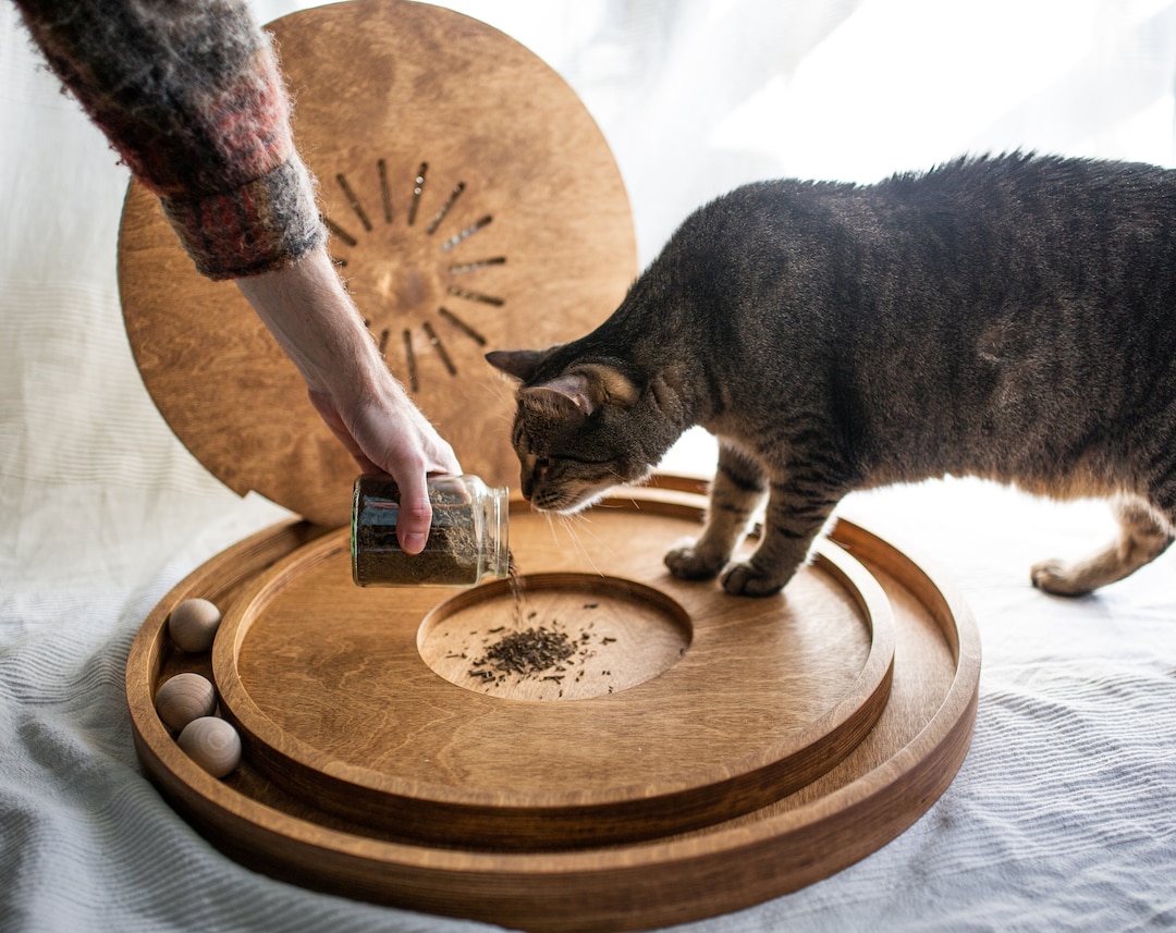Cat Scratcher With Toy, Best Scratcher, Toy for Cat With Ball, Floor