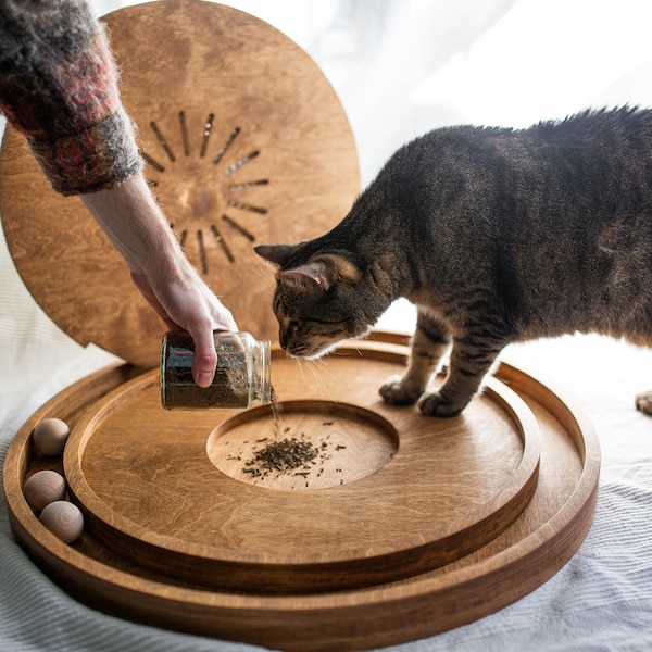 Tiragraffi per gatti con giocattolo, miglior tiragraffi, giocattolo per gatti con palla, gioco per animali da terra, regalo per gatti, mobili moderni per gatti, erba gatta