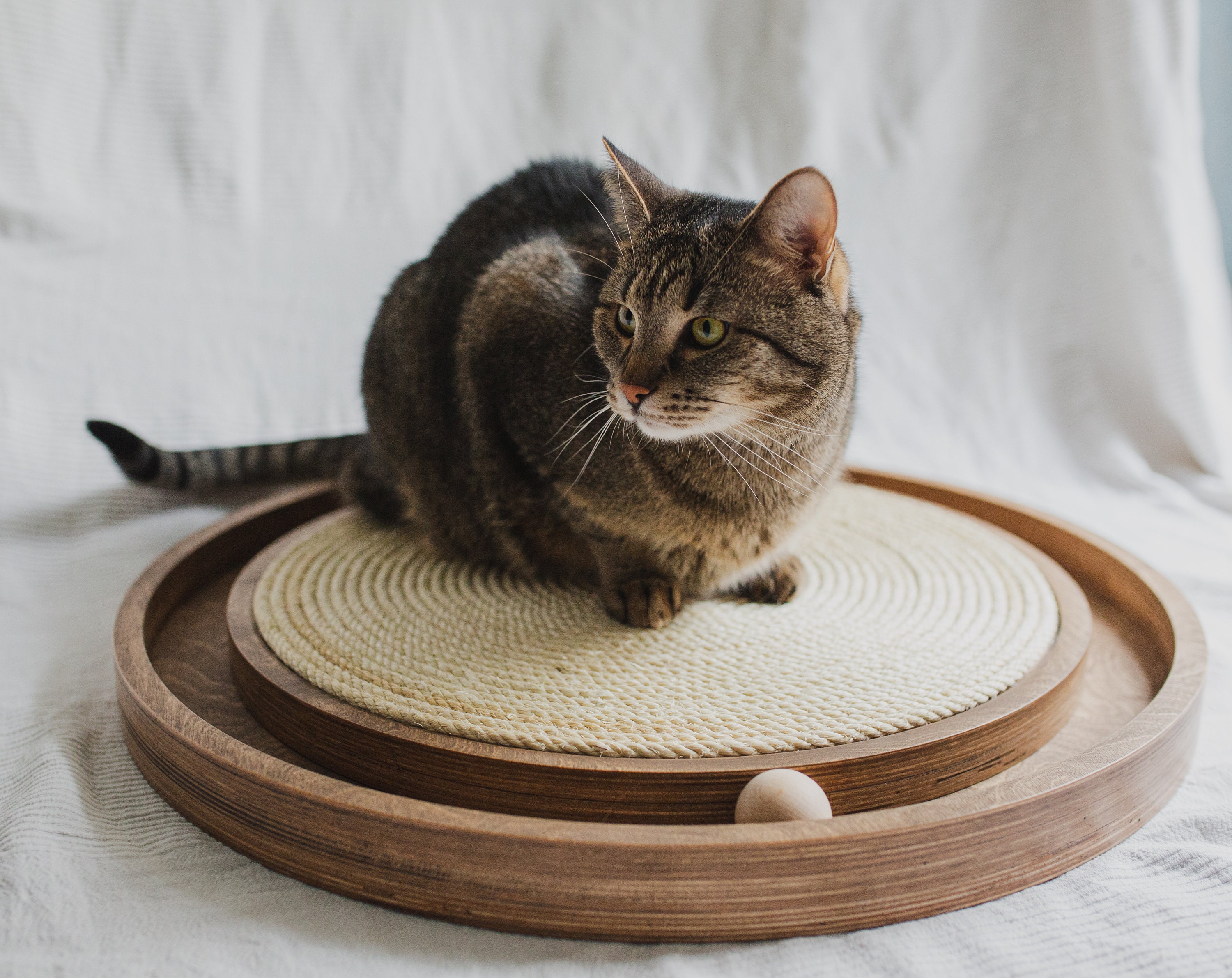 Round cat. Scratcher.