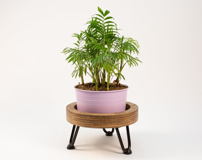 May include: A potted green plant with a light purple planter sitting on a wooden plant stand with black metal legs.