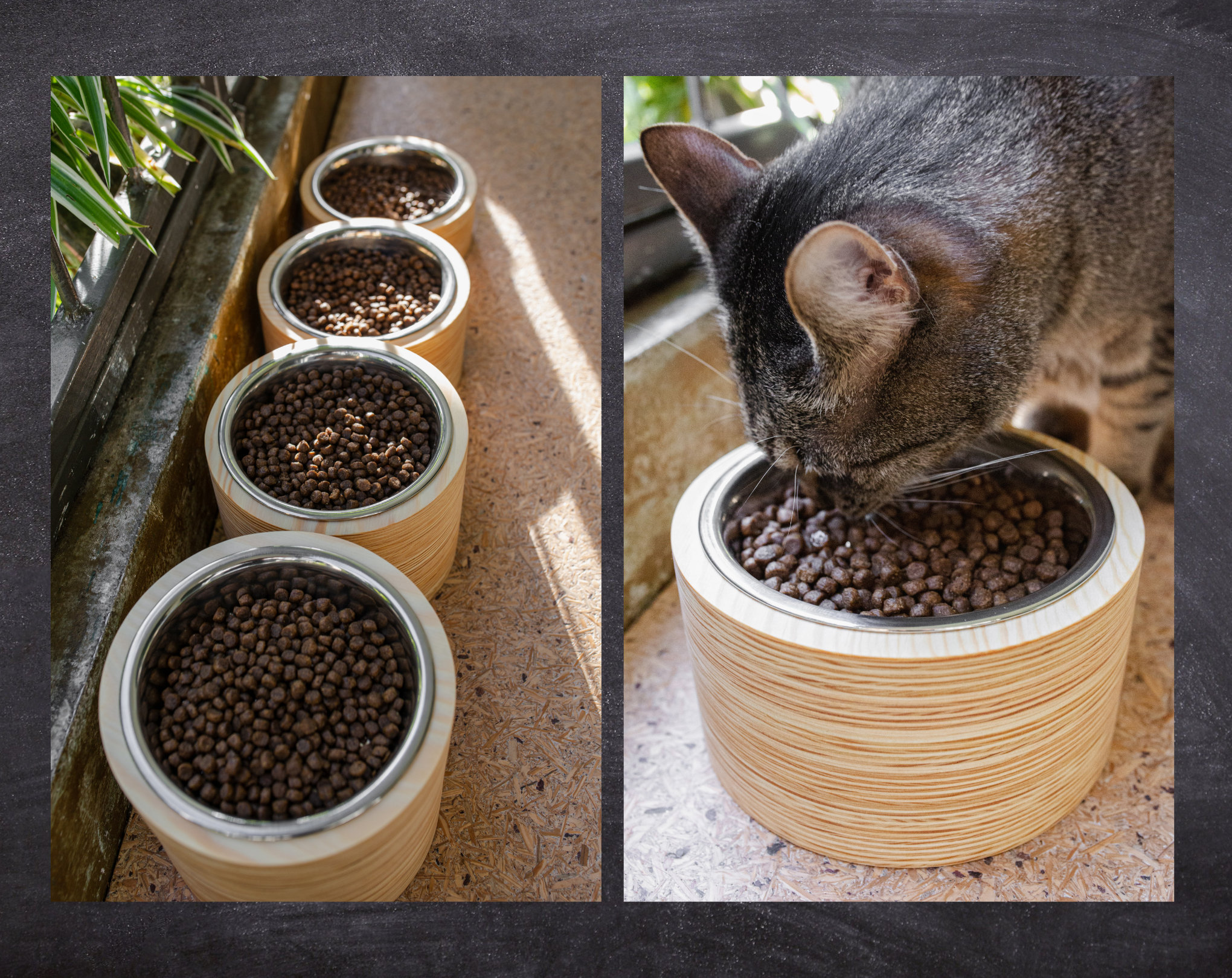 wide shallow cat bowls
