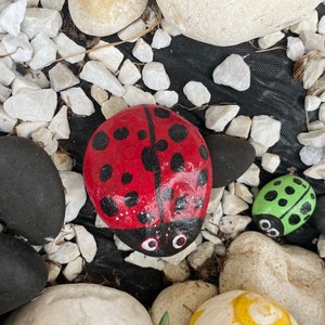 Lady Bug Painted Rocks For Garden