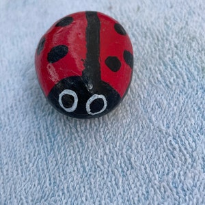 Two sided ladybug garden painted rock
