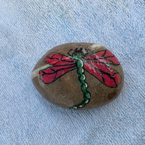 Inspiration dragonfly painted rock