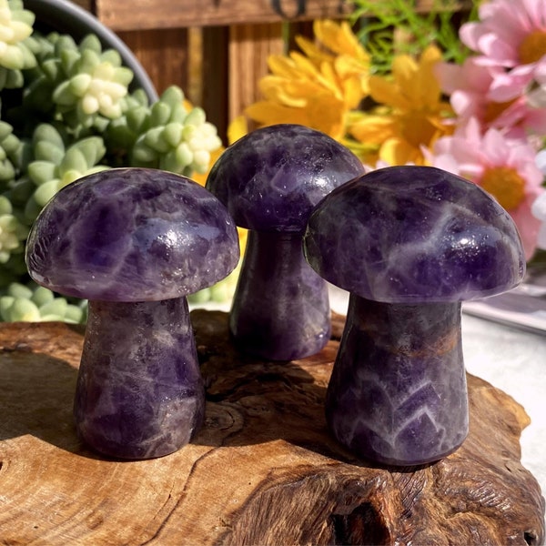 Natural dream amethyst mushroom,amethyst mushroom,Crystal mushroom,Reiki healing,home decoration,Crystal Energy,Crystal Gifts 1PC