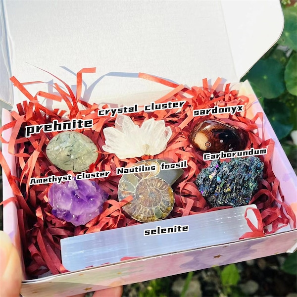 7 Piece Deluxe Crystal Kit,beginner crystal kit,Tumble Stones,Selenite,snail fossil,Crystal Gift Box,Reiki healing