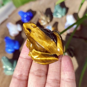 Natural Mixed quartz frog,Lushan jade frog,Quartz Crystal frog,Crystal animal,Home Decoration,Crystal Gifts,Reiki Healing,Crystal chakra 1PC Bild 6