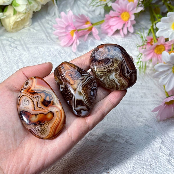 Pierre naturelle de palmier de Sardonyx, agate de soie, pierre de palmier en cristal de quartz, guérison Reiki, décoration de la maison, énergie cristalline, cadeaux en cristal 1PC