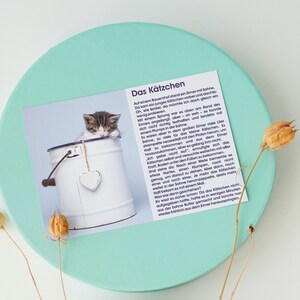 Cartolina Gattino Storia Cartolina Mindfulness Detti Cita Storia Regalo