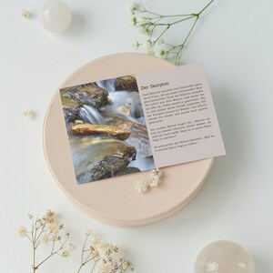 Cartolina cartolina Scorpione Mindfulness Detti Citazione Storia Regalo