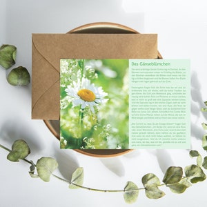 Story Card Cartolina Daisy Mindfulness Detti Cita Storia Regalo