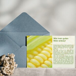 Cartolina Corn Story Card Mindfulness Sayings Quote History Gift