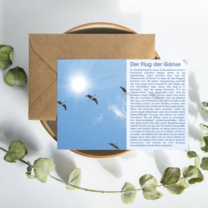 Story Card Cartolina Oche Mindfulness Detti Cita Storia Regalo