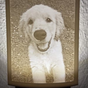 Personalized Night Light Photo Lithophane - Customized Gift for Christmas, Wedding, Anniversary, Kids, Pets, Perfect for Bedroom or Hallway
