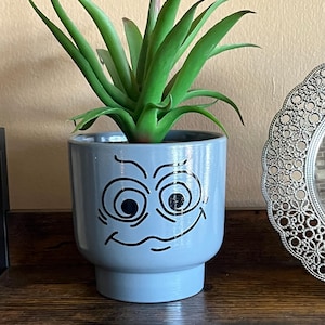 Funny face planter with faux plant, Painted terracotta