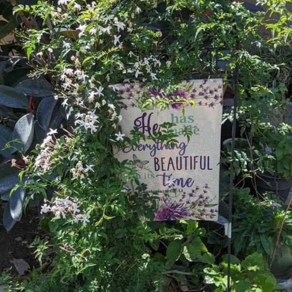 Pink Jasmine live plant vine Rooted Plant / Unrooted Cuttings