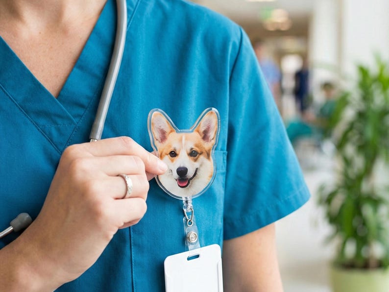 Puede incluir: Un carrete de insignia transparente con cara de corgi est&aacute; sujeto a una blusa de color verde azulado. La insignia presenta un corgi sonriente con pelaje marr&oacute;n, blanco y canela. Un estetoscopio cuelga del cuello. Una tarjeta de identificaci&oacute;n blanca est&aacute; unida al carrete.