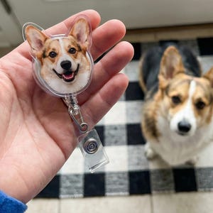 Puede incluir: Un carrete retr&aacute;ctil transparente para placa con la cara de un perro corgi sonriente. El carrete tiene un clip de metal y una correa de pl&aacute;stico transparente. Un perro corgi real est&aacute; en el fondo, sentado en una alfombra a cuadros en blanco y negro.