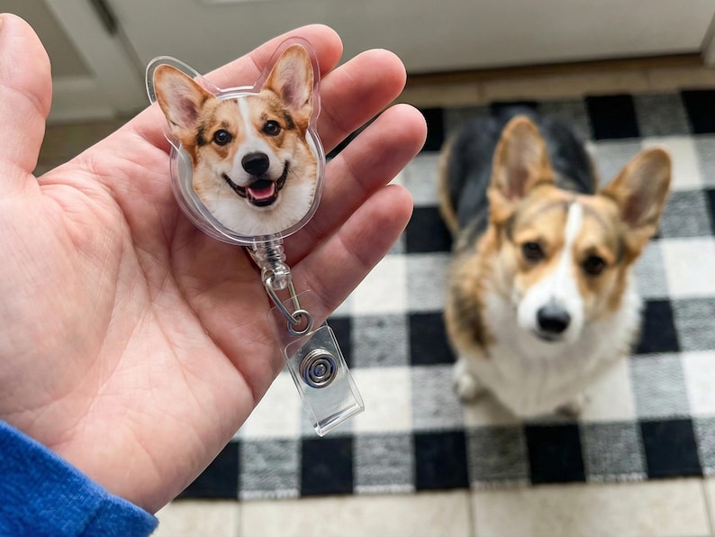 Puede incluir: Un carrete retr&aacute;ctil transparente para placa con la cara de un perro corgi sonriente. El carrete tiene un clip de metal y una correa de pl&aacute;stico transparente. Un perro corgi real est&aacute; en el fondo, sentado en una alfombra a cuadros en blanco y negro.