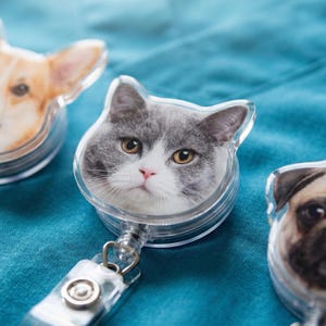 Puede incluir: Tres portatarjetas retr&aacute;ctiles con tem&aacute;tica de mascotas. Uno presenta un perro Corgi, otro un gato gris y blanco, y el tercero un perro pug. Cada portatarjetas tiene una carcasa de pl&aacute;stico transparente y un clip met&aacute;lico.