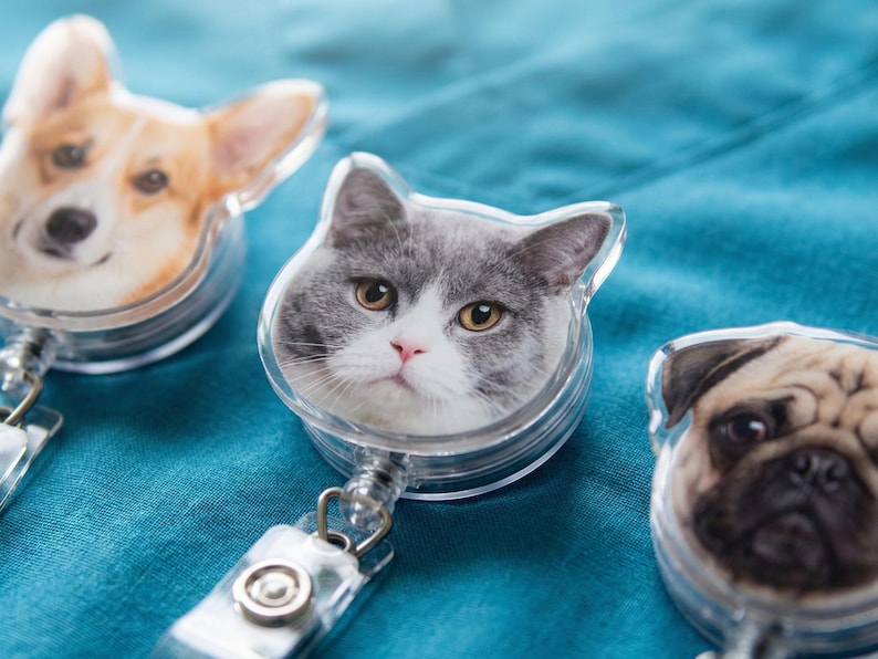 Puede incluir: Tres portatarjetas retr&aacute;ctiles con tem&aacute;tica de mascotas. Uno presenta un perro Corgi, otro un gato gris y blanco, y el tercero un perro pug. Cada portatarjetas tiene una carcasa de pl&aacute;stico transparente y un clip met&aacute;lico.