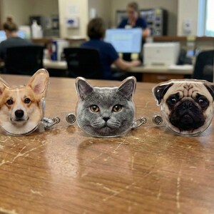 Puede incluir: Tres carretes de insignia de pl&aacute;stico transparente con caras de animales: un Corgi, un gato gris y un Carlino. Cada carrete de insignia tiene un cord&oacute;n retr&aacute;ctil y un clip de metal. El fondo muestra un escritorio y personas.