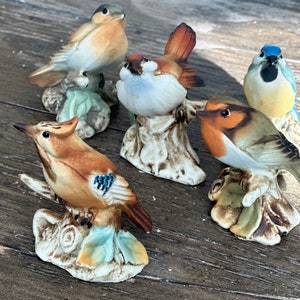 Vintage collectible bird figurines. Porceline birds. Count of 5