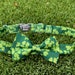 see more listings in the Premium Fancy Collars section