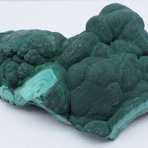 Botryoidal Malachite Specimen, Congo Mineral Display (4 inches)
