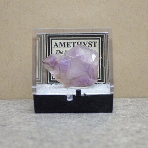 Rare Double Terminated Amethyst Crystal Cluster North Carolina The Miracle Pocket Amethyst Specimen